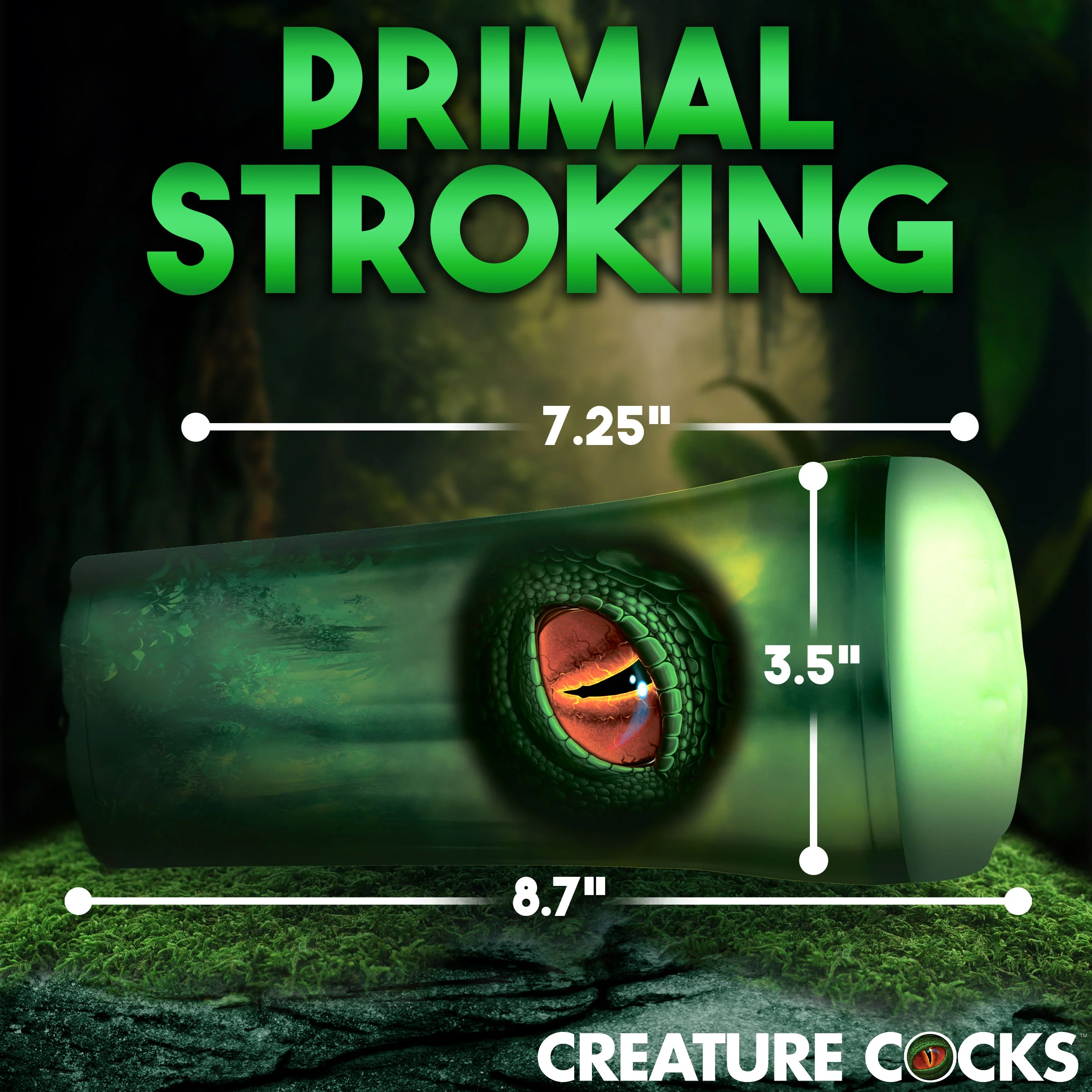 Thumbnail 7