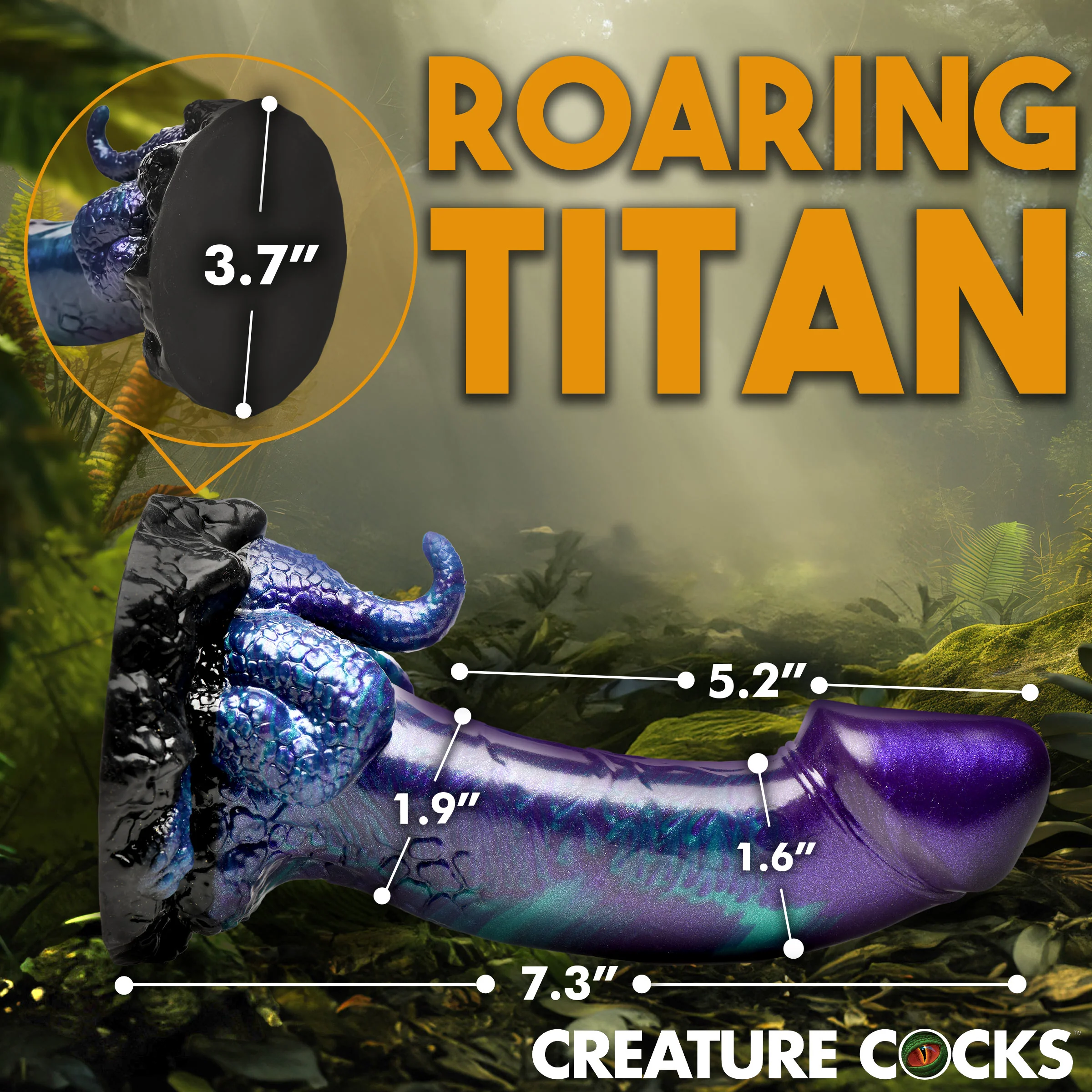 Thumbnail 7